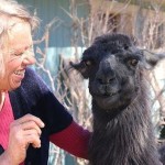 Thunderbird Lodge Retreat Owner Lori Portillo with her pet llama, Jewel. (Photo courtesy of Thunderbird Lodge Retreat/Angela Barker)