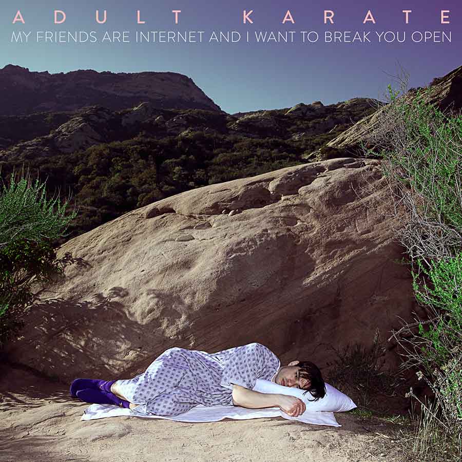 Adult Karate - My Friends Are Internet - (Album Cover Art)